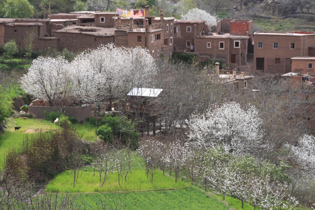 فندق Douar Samra امليل المظهر الخارجي الصورة